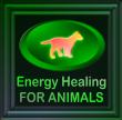 Energy Healing For Animals Professional Animal Healer Certification Course