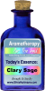 Aromatherapy Magic Bottle Let the Universe choose an essential oil for you today!