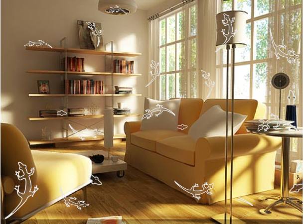 An infestation of invisible geckos in the modern home