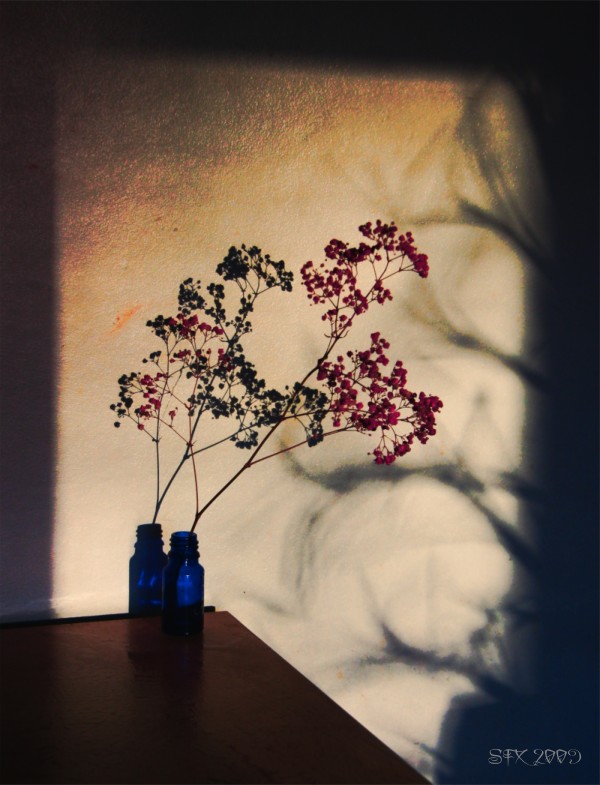 Morning Shadow by StarFields December 2009