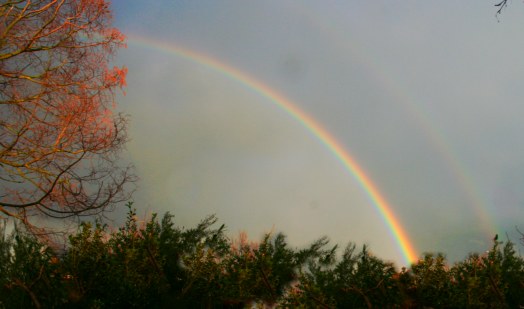 Rainbow 2 PRW Rainbow 2 PRW