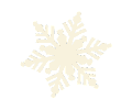 Snowflake Animated